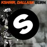 Burn cover art