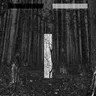 Cause & Effect cover art