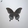 Notes (Monokle Remix) cover art