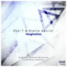 Imagination - Lucas Rossi Remix by Shai T cover art