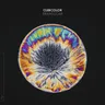 Nights in Bloom by Cubicolor cover art