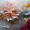 Glasshouse by Tinlicker cover art