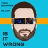 Is It Wrong - Dub Mix by Todd Edwards cover art