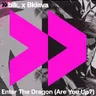 Enter The Dragon (Are You Up?) by Bklava cover art