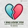 I Was Lovin’ You (Sammy Porter remix) by James Hype cover art