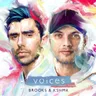Voices (feat. TZAR) cover art