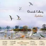 Die Alpenstrandläufer von Spiekeroog cover art