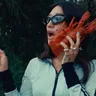 Lobster Telephone cover art