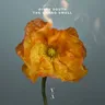 Dope Shells by Dirty South cover art