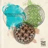 Saturday Night Fish by Monkey Safari cover art