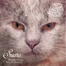 Mushake - Original Mix cover art