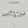 More Than You Ever Know by Sultan + Shepard cover art