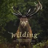 Wilding Theme by Jon Hopkins cover art