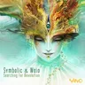 Searching for Signals (Symbolic remix) cover art