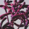 Dancing On My Own cover art