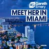 Meet Her in Miami by Gareth Emery cover art