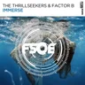 Immerse cover art