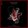 Neopar - Cid Inc. Remix by Cid Inc cover art