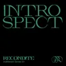 Introspect cover art