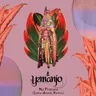 Na Procura - Zuma Dionys Remix by Zuma Dionys cover art