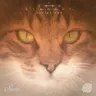 Ecstasy - Late at Night Mix cover art