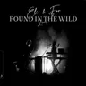 Wild Skies by Eli & Fur cover art