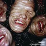 OK by Shlømo cover art