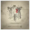 Kill Floor by Rebekah cover art