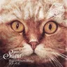 Y.E.A.H. (original mix) by Coyu cover art