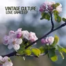 You Can't Hide by Vintage Culture cover art