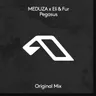 Pegasus by Meduza cover art
