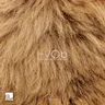 28th cover art