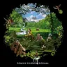 Taeuschungs‐Blume by Dominik Eulberg cover art
