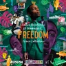 Freedom - Kususa Remix by Zakes Bantwini cover art
