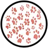The Groovy Cat cover art