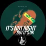 It's Not Right But It's Ok by Deborah de Luca cover art