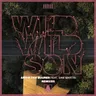 Wild Wild Son - Richard Durand Remix by Armin van Buuren cover art