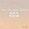 Hey Now by Nihil Young cover art