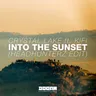 Into the Sunset - Headhunterz Radio Edit cover art