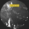Flight 19 by Cleric cover art