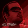 World Gone Mad by John O'Callaghan cover art