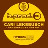 Mad Poet (cut mix) cover art