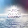 P.l.u.r. by Liquid Soul cover art