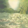 Se Ve by Dandara cover art