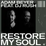 Restore My Soul (feat. DJ Rush) - DJ Rush Remix by Adam Beyer cover art