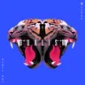 Dualism (extended mix) cover art
