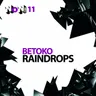 Raindrops - Dino Lenny Sunday Mix cover art