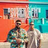 Summer Cem (feat. Luciano) cover art