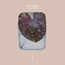 Colour by Le Youth cover art