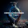 Time To Waste by Eximinds cover art